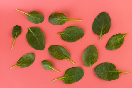 top shot close-up soft pink background green spinach leaves high energy content healthy wholesome food spring salad veins in leaves vegan foodの写真素材