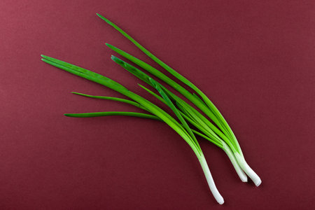 Fresh Green Onions Arrangement on a Burgundy Background for Culinary Photography and Cooking Inspirationの写真素材
