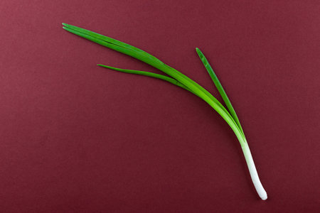 Fresh Green Onion on a Burgundy Background Perfect for Culinary Arts and Cooking Presentations to Enhance Colorful Food Preparationの写真素材