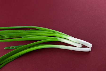 Freshly Harvested Green Onions on a Deep Red Background Showcasing Their Bright Color and Healthy Appearance for Culinary and Culinary Imagery Purposesの写真素材