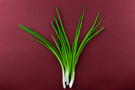 Fresh Green Onions Displayed on a Dark Red Background with Long Green Tops and White Roots for an Appealing Culinary Presentationの写真素材