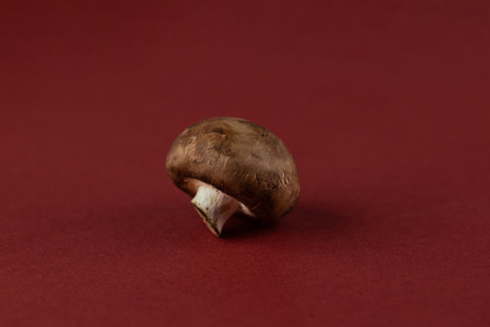 Close-up of a Delicious Brown Mushroom on a Maroon Background Showcasing Its Unique Texture and...