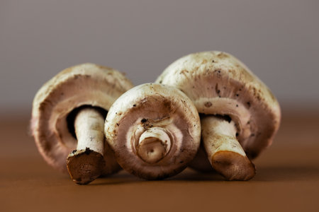 A Close-Up View of Fresh White Mushrooms on Brown Surface, Highlighting Their Unique Shapes and Textures with Neutral Background Adding to the Visual Appeal of the Subject Matterの写真素材