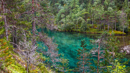 A Serene Forest Landscape Featuring Crystal Clear Waters Reflecting Lush Greenery with Trees and...