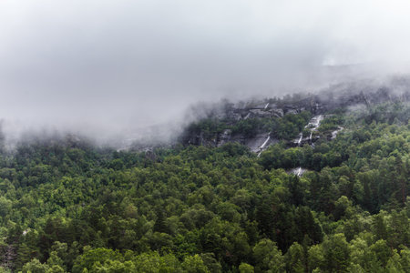 Misty Mountain Landscape Surrounded by Lush Green Forests and Dramatic Fog - A Serene View of Natures Beauty and Tranquility Amidst the Elements of Weather and Wildernessの写真素材