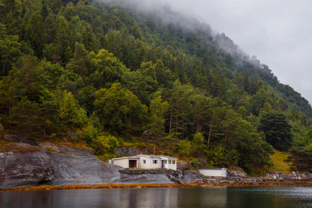 Serene Coastal Retreat Surrounded by Lush Green Forests and Misty Mountains: A Picturesque Landscape of Tranquility in Natures Embraceの写真素材