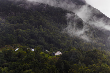 Serene Mountain Landscape with Mist and Forested Hills: Captivating View of Majestic Nature Showing Houses Nestled Amongst Lush Greenery and Enveloping Fogの写真素材