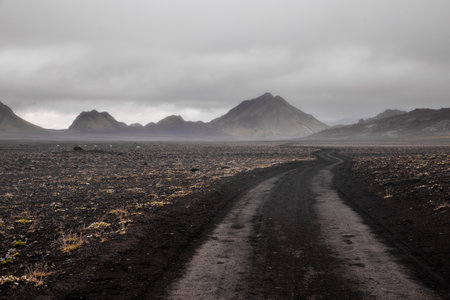 A Majestic View of a Winding Road Through an Expansive, Barren Landscape Surrounded by Dramatic Mountains and Overcast Skies in Iceland s Unique Terrainの写真素材