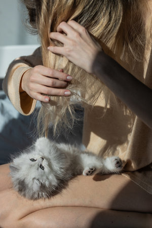A Charming Moment Between a Person and Their Adorable Kitten Highlights the Magic of Companionship and Joy in Everyday Life Amid Natural Light and Cozy Surroundingsの写真素材