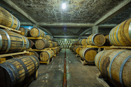 Exploring the Dark Depths of a Rustic Wine Cellar Filled with Wooden Barrels Storing Vintage Wines...
