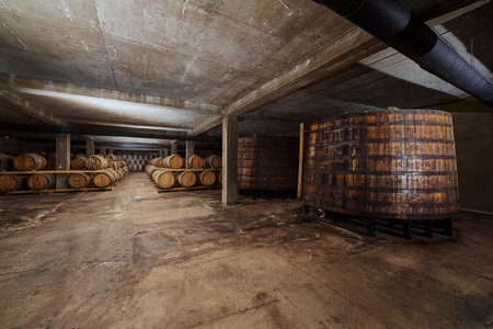 Exploring the Enigmatic Wine Cellar: Rows of Wooden Barrels in a Serene Underground Space Perfect...