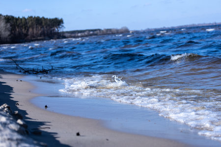 Captivating View of a Serene Shoreline with Gentle Waves and Lush Forest Backdrop on a Bright Sunny...