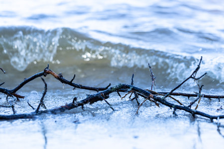 Beautiful shorescape featuring a branch washed up on the beach beside gentle ocean waves creating a serene atmosphere and highlighting natures elements in perfect harmony.の写真素材