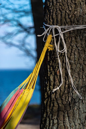 A Colorful Hammock Tied to a Tree in a Serene Outdoor Setting Near the Water, Perfect for Relaxation...