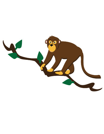 Illustration of monkey, monkey isolatedのイラスト素材