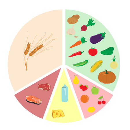 Vector illustration plan of healthy eating nutrition chart. Fruits vegetables milk and cheese whole grains  meat and fishのイラスト素材
