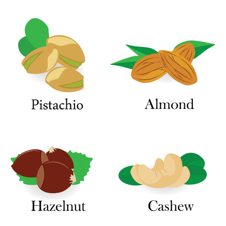 Vector icon collection set raw nuts. Nut mix with  hazelnut, pistachio, cashew and almondのイラスト素材