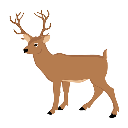 Vector illustration elegant, cute deer. Forest animal. Wild animalのイラスト素材