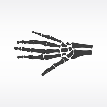Vector illustration hand bones. Orthopedic human hand skeleton icon. Diagnostic centerのイラスト素材