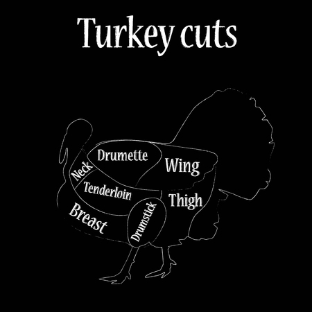 Vector illustration turkey diagram and pieces of meat in frame hanging on the wall. Turkey cuts. Chalk Illustration of a vintage graphic element for menu. Butcher chart.のイラスト素材