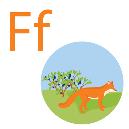 Cute animal alphabet for ABC book. Vector illustration of cartoon animals. Fox for F letterのイラスト素材