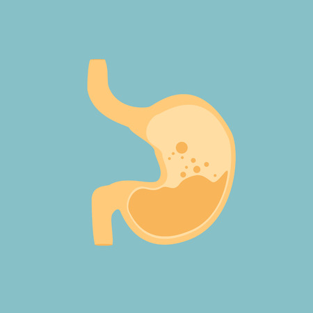 Vector illustration human stomach isolated on blue background. Stomach icon flat design. Digestionのイラスト素材