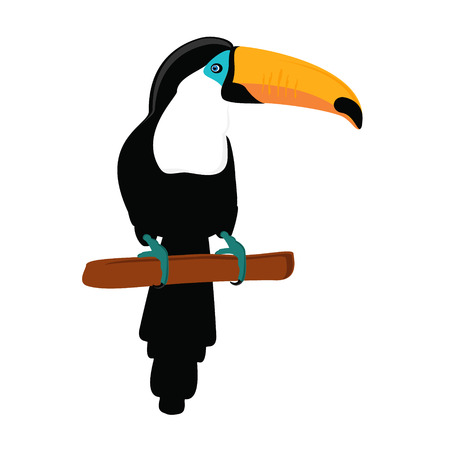 Vector illustration funny toucan sitting on branch. Exotic bird isolated on white backgroundのイラスト素材