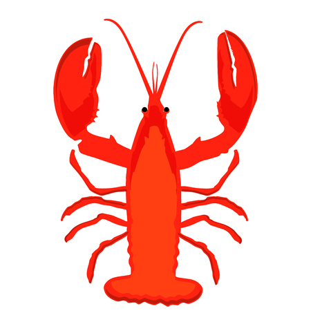 Vector illustration lobster icon. Fresh seafood. Menuのイラスト素材