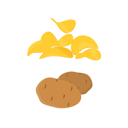 Raster illustration potato tubers and cripsy chips isolated on white background. Eco vegetable. Potatoesの写真素材