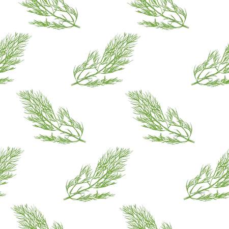 Raster illustration  pattern, background hand drawn fresh bunch of dill isolated on white backgound. Sketch dill. Design elements for restaurant, cafe or shop.の写真素材