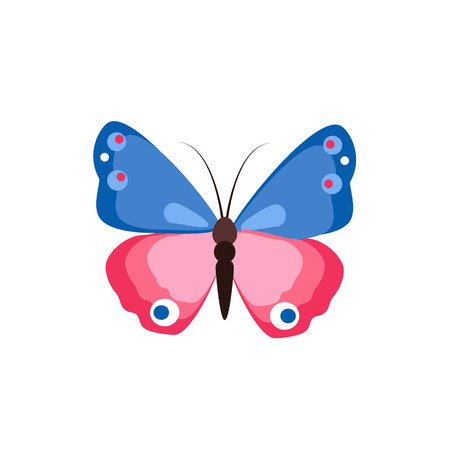 Colorful butterfly isolated on white background.のイラスト素材