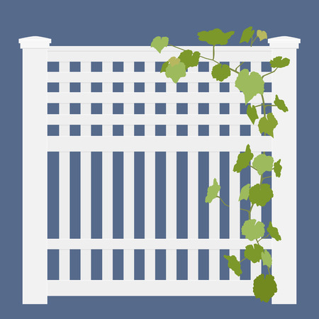 Wooden white rural garden fence  and green ivy plant over it isolated on blue background. Vector illustrationのイラスト素材