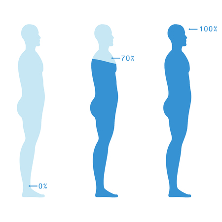 Infographic showing water percentage level in human body. Vector illustration Water balance.のイラスト素材