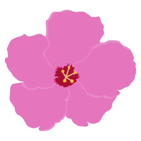 Pink Orchid vector flower isolated on white backgroundのイラスト素材