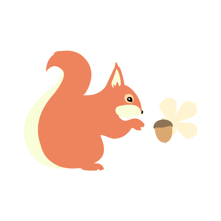 Squirrel with acorn character cute animal in wildlife isolated on white backgroundのイラスト素材