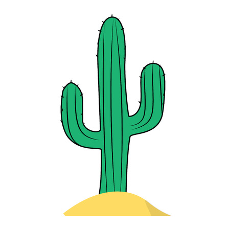 Cactus isolated on white backgroundの写真素材