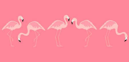 Flamingo tropical bird. Exotic bird. Vectorのイラスト素材