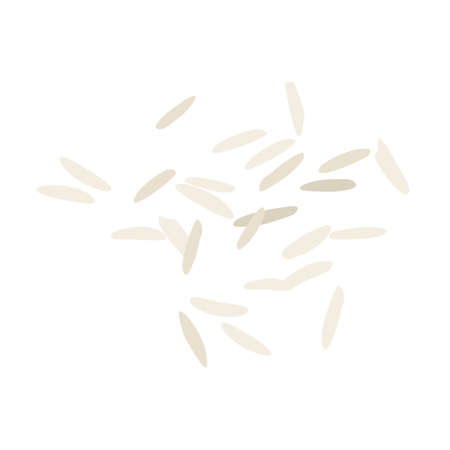 Rice grains isolated on white background. Top view. Vectorのイラスト素材