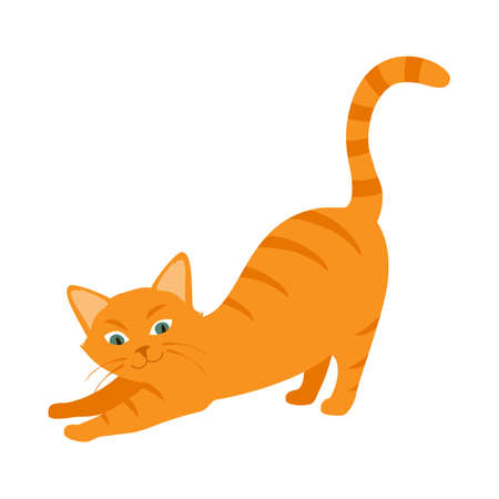 Cute cartoon ginger cat with green eyes isolated on white background. Vectorのイラスト素材
