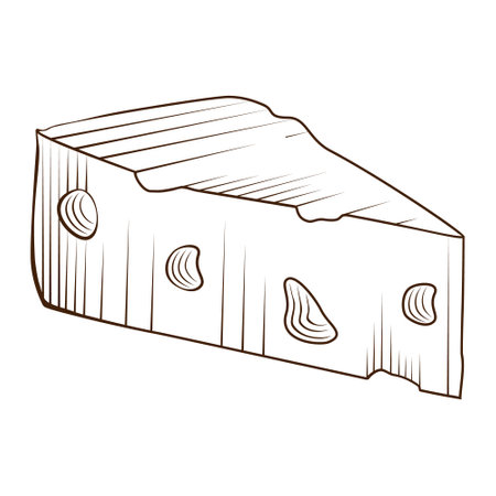 Graphic sketch piece of cheese. Vector realistic outline dairy product. Used for logo design, recipe book, advertising cheese or restaurant menu.のイラスト素材