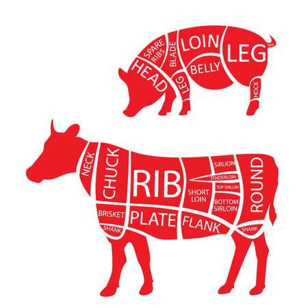 Vector illustration cow and pork cuts diagramm or chart. Pork and cow black silhouette. Cow, pork cuts butcher chart.のイラスト素材