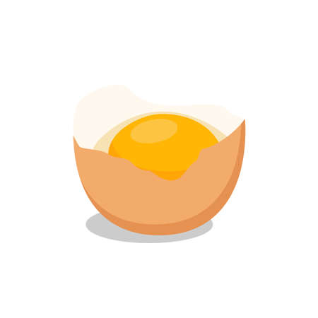 Egg isolated on white background. raster