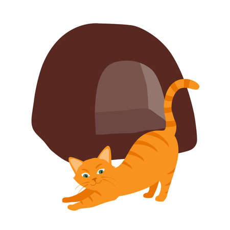 Ginger cat and his soft cozy bed cushion in different poses isolated on white background. Isometric view. rasterの写真素材