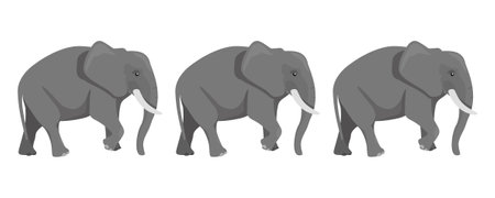 Family of three African, Asian elephantsのイラスト素材