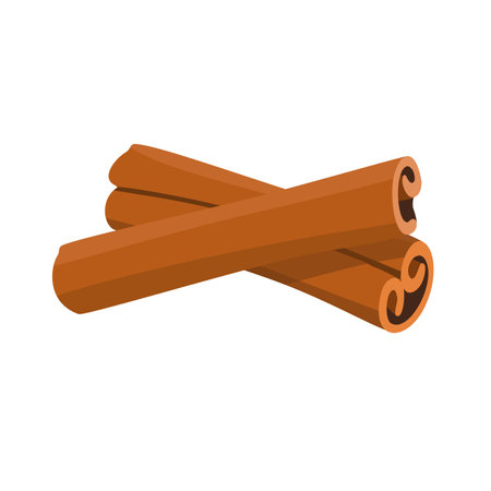 Two cinnamon sticks isolated on white background. Vector illustrationのイラスト素材