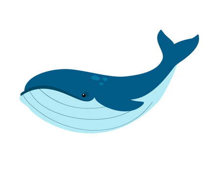 Sea animal whale isolated on white background. Underwater marine life. Vector illustrationのイラスト素材