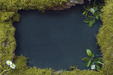 Different foliage, moss and wood. Decorative natural black background, copy space