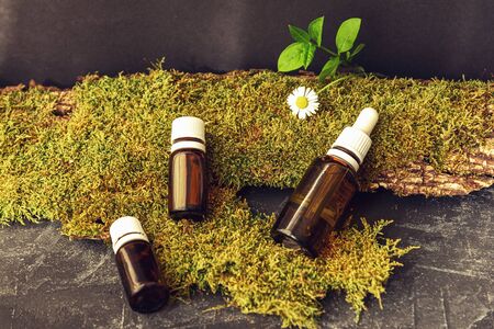 Essential oil in bottles unbranded blank packages on black background with moss and greenery....