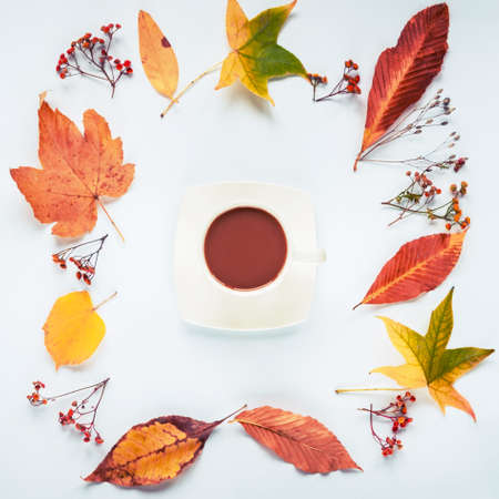 Frame made of yellow leaves and dried flowers, a cup of coffee in the center, white background. Autumn concept. Top view, flat lay.の写真素材