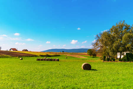 Beautiful rural landscape. Round straw bales on field, mountains in the distance.の写真素材